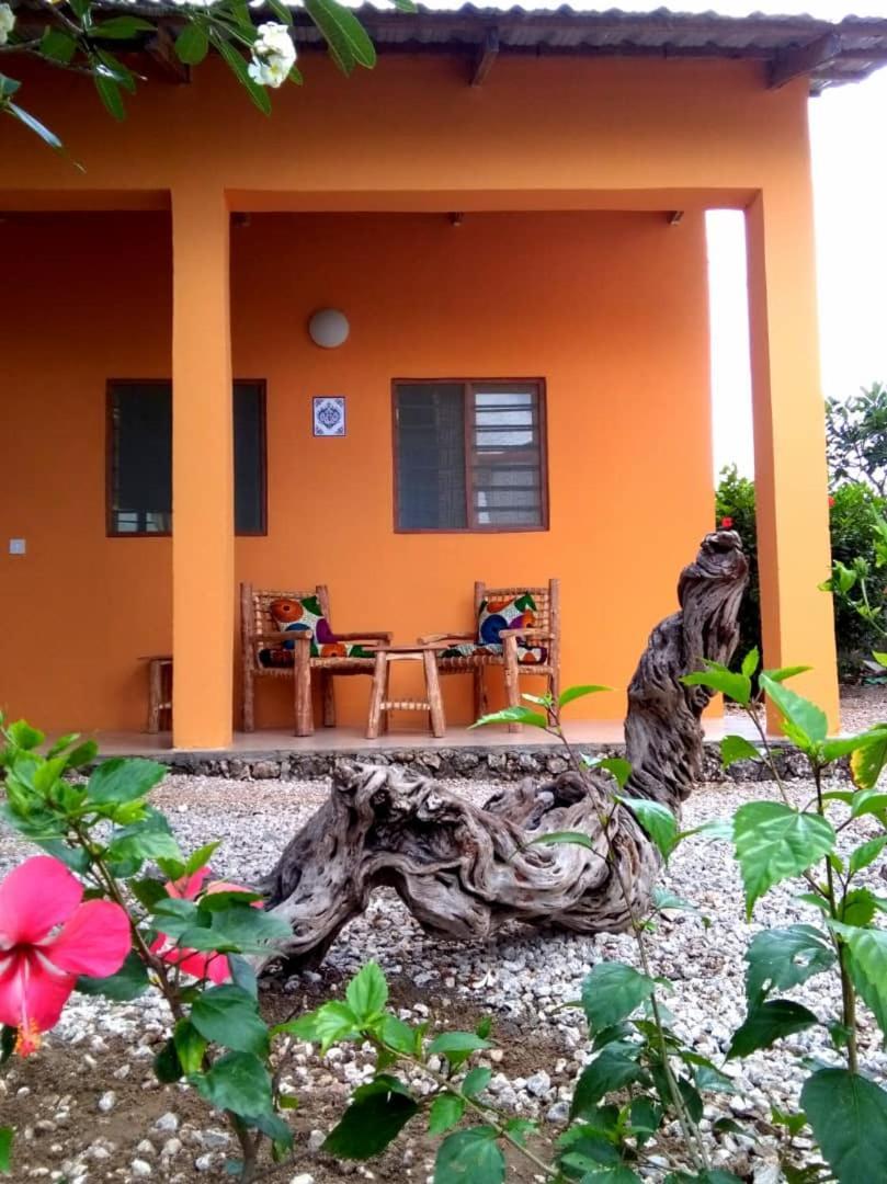 Kamili View Apartments Kiwengwa  Εξωτερικό φωτογραφία